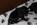 Hundekind 2 Wochen alt