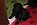 RS-Baby 3. Woche