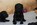 Welpe 4 Wochen alt