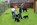 Pinscher-Schnauzer-Klub